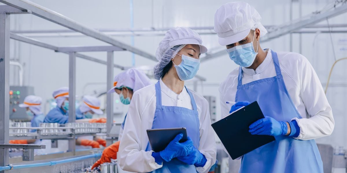 Consulting on Production Line