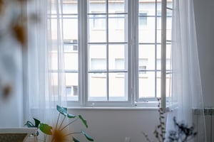 Home windows