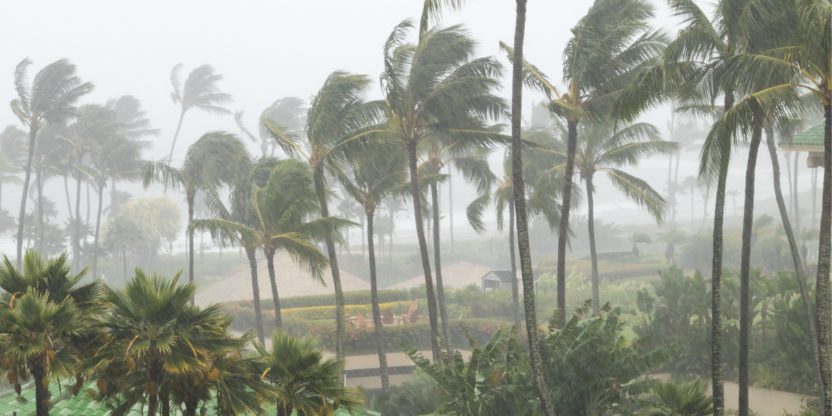 Hurricane Winds