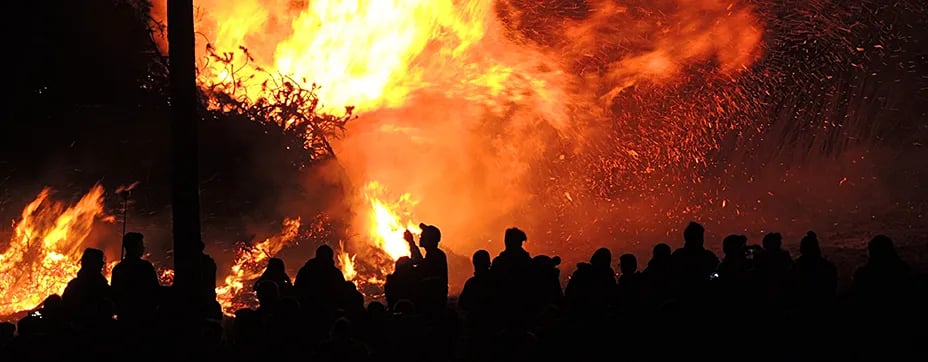 A firefighter, seen in silhouette with blazing trees behind.