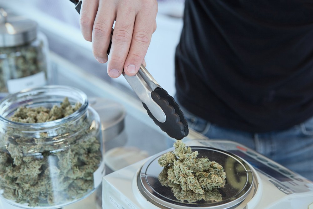 Worker measuring cannabis for sale at a dispensary.